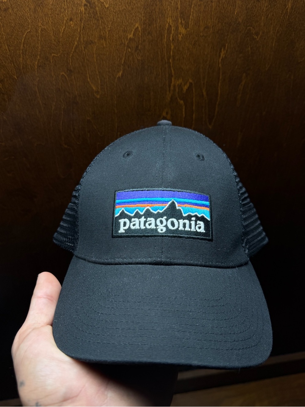 Patagonia Black SnapBack Trucker Hat